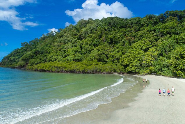 The Cape Tribulation Mossman Gorge And Daintree Rainforest Premium