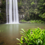 12DPCY-Waterfall-Queensland-965x561 - Copy