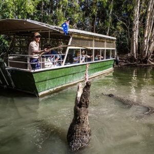 Hartley's Crocodile adventures, Port Douglas and Ellis Beach Tour