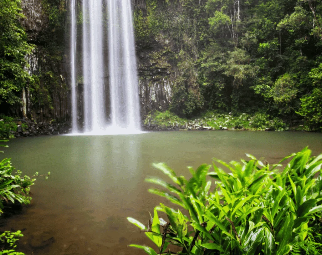 12DPCY-Waterfall-Queensland-965x561 - Copy